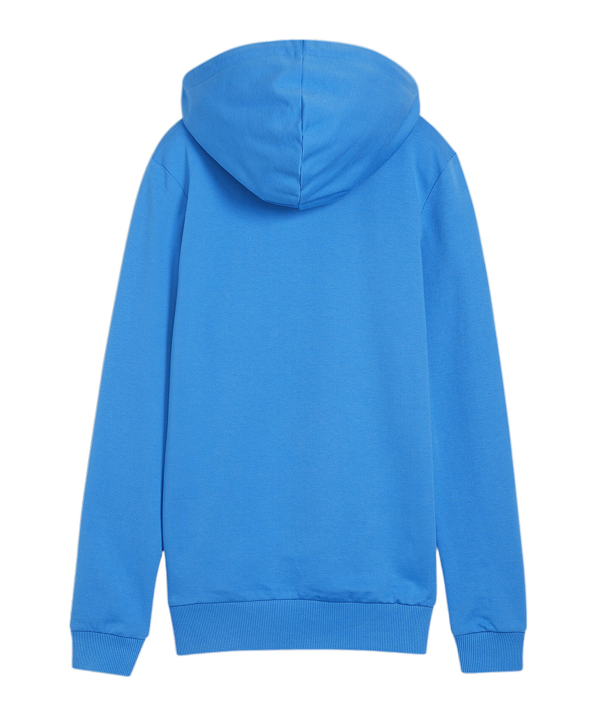 PUMA Sweater PUMA teamGOAL Casuals Hoody günstig online kaufen