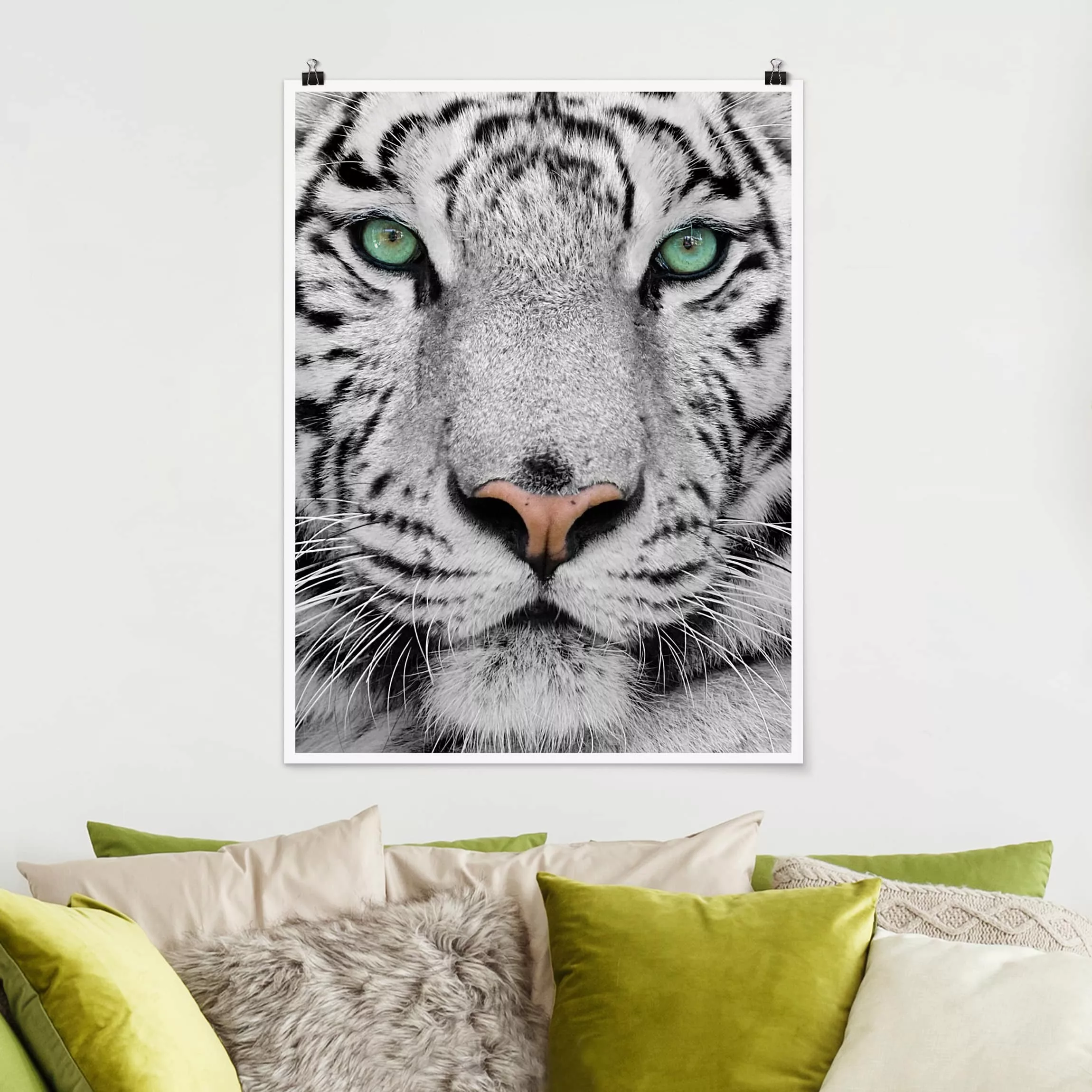 Poster Tiere - Hochformat Weißer Tiger günstig online kaufen