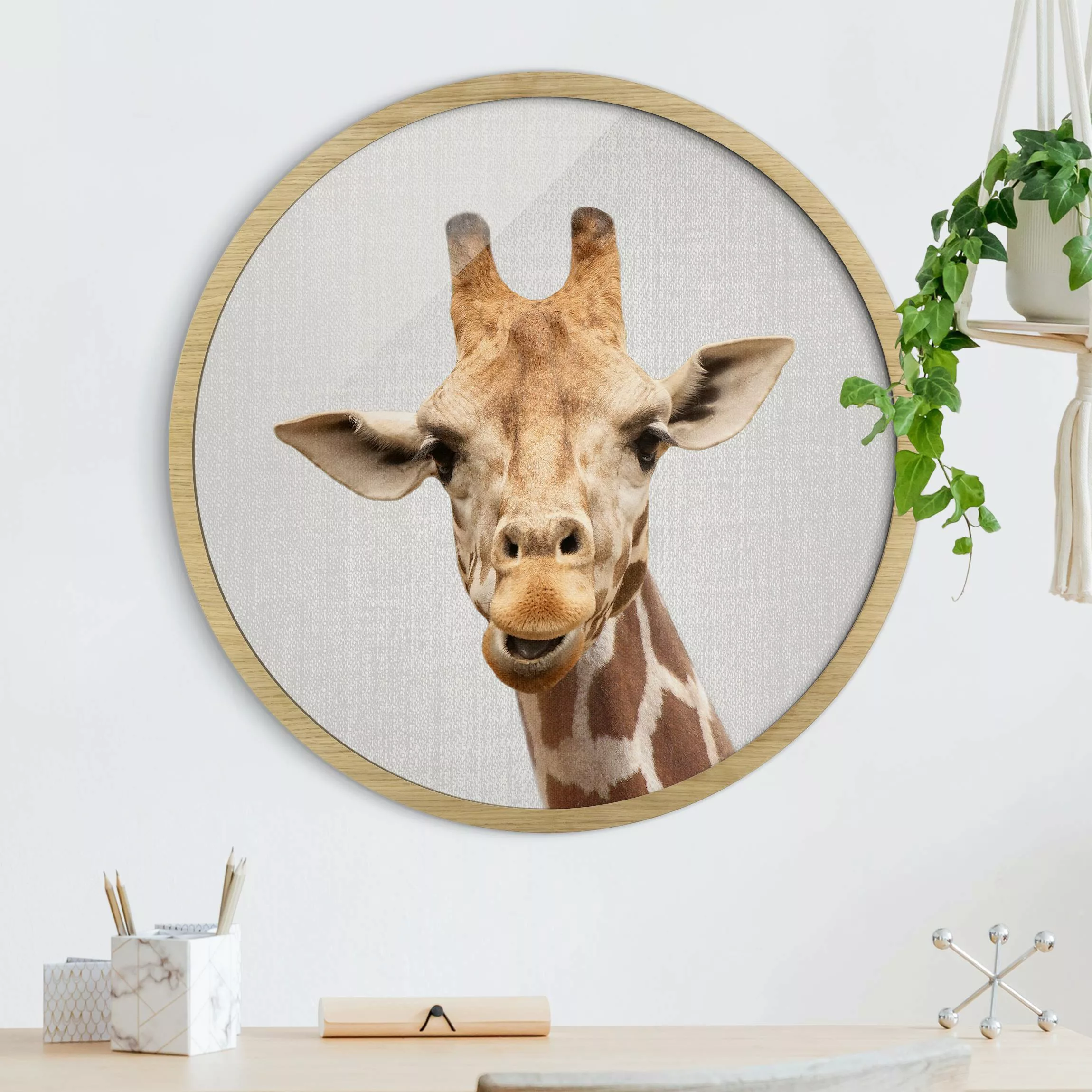 Rundes Gerahmtes Bild Giraffe Gundel günstig online kaufen