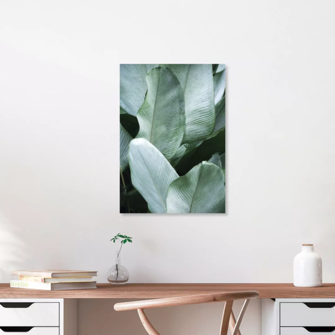 Poster / Leinwandbild - Tropical Silver Leaves günstig online kaufen