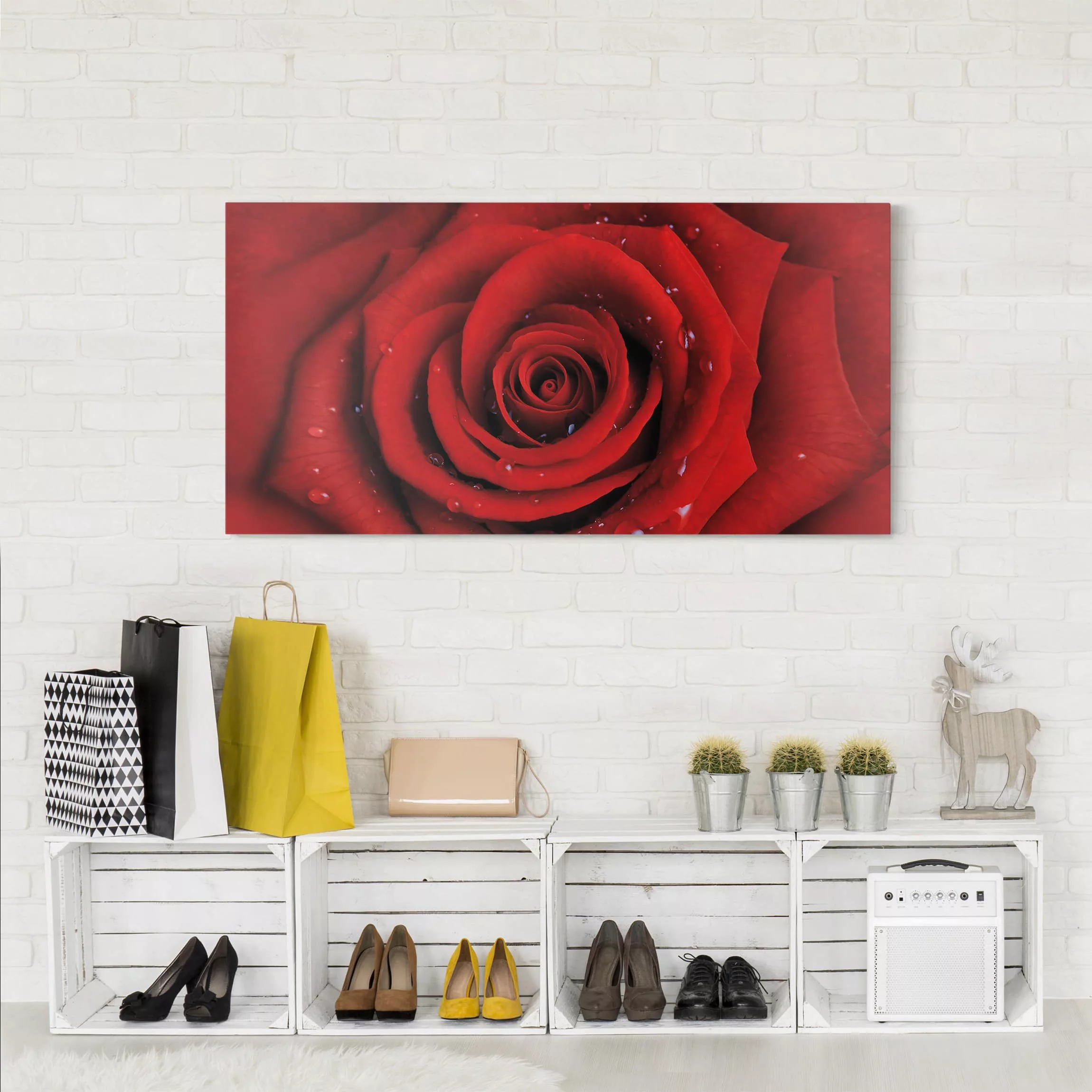 Leinwandbild Blumen - Querformat Rote Rose mit Wassertropfen günstig online kaufen