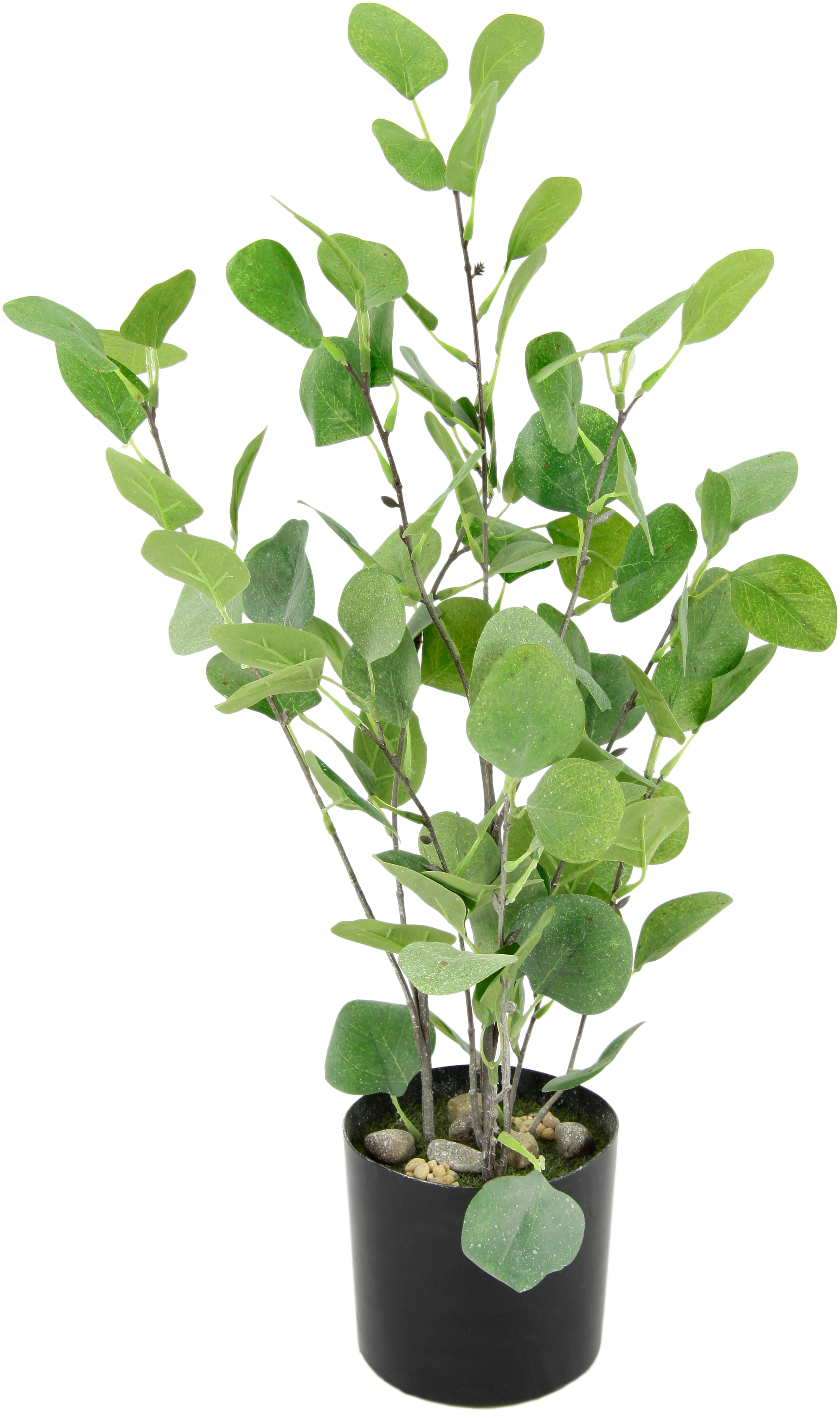 I.GE.A. Kunstbaum "Eukalyptus im Topf künstlich Eukalyptusbaum Pflanze Deko günstig online kaufen