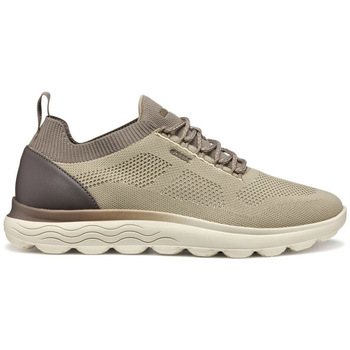 Geox  Sneaker U Spherica sneaker in tessuto günstig online kaufen