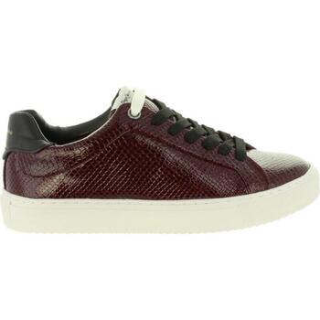 Pepe jeans  Sneaker PLS30751 ADAMS günstig online kaufen