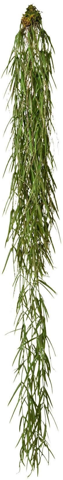 Kunstranke, Creativ green, Höhe 120 cm günstig online kaufen