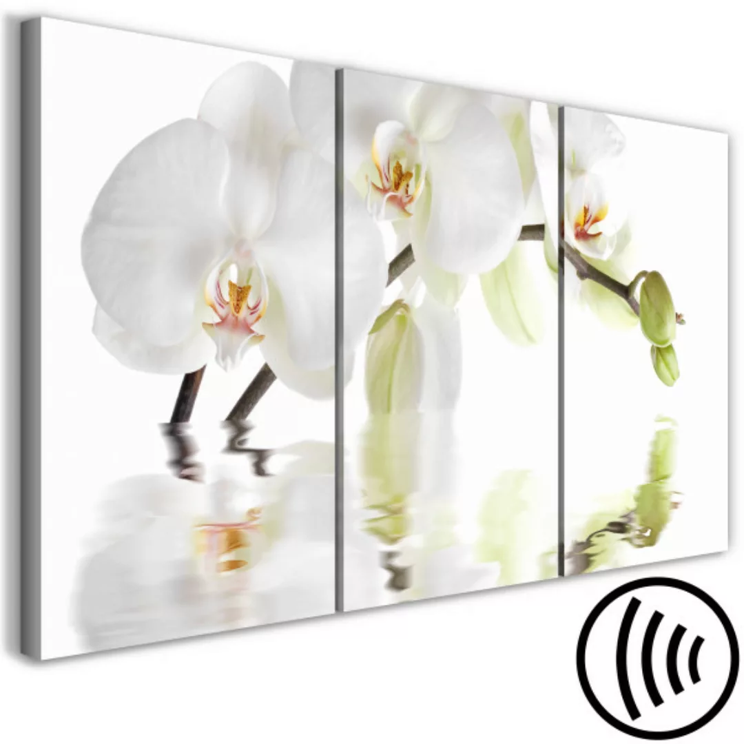 Wandbild Wonderful Orchid (3 Parts) XXL günstig online kaufen