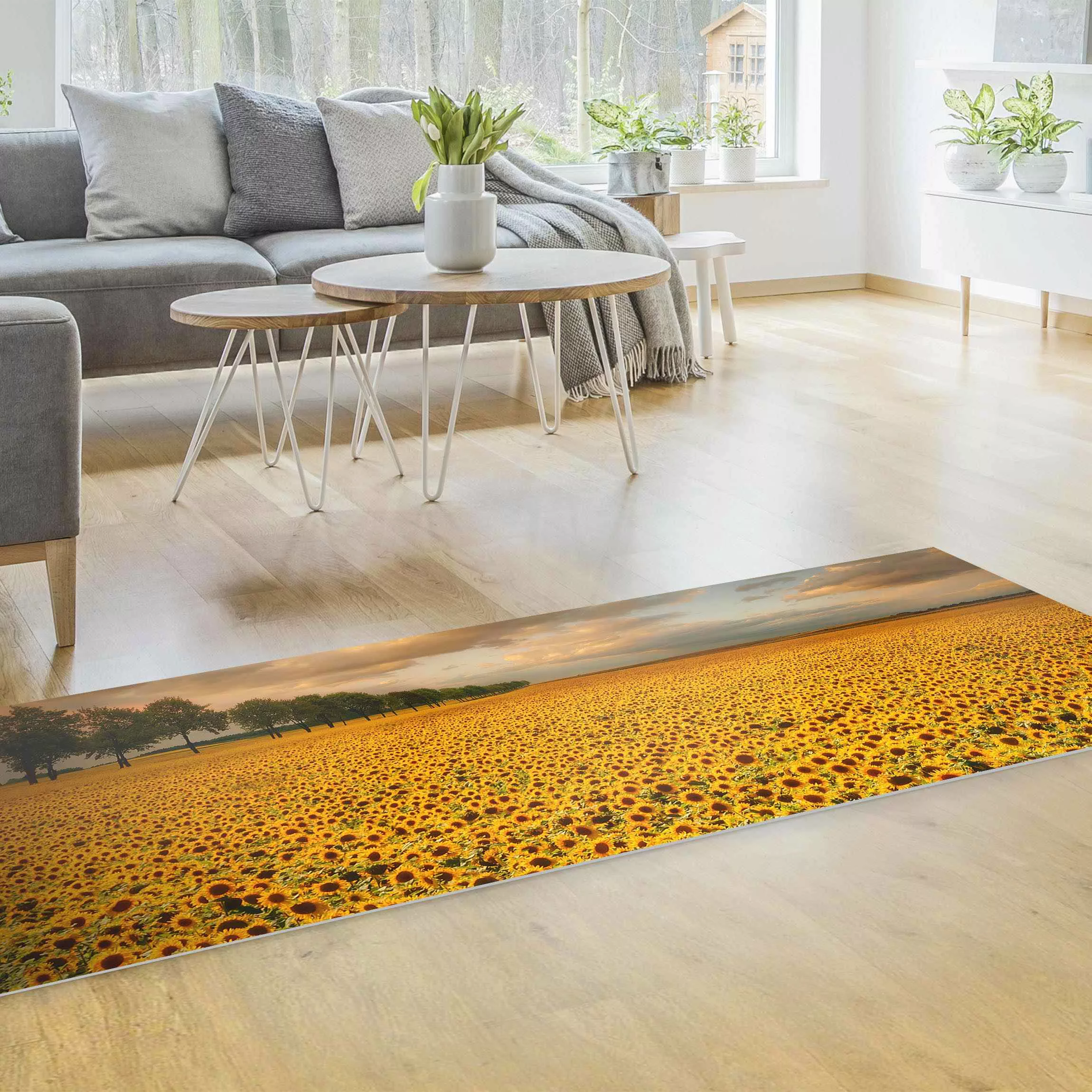 Vinyl-Teppich Feld mit Sonnenblumen günstig online kaufen