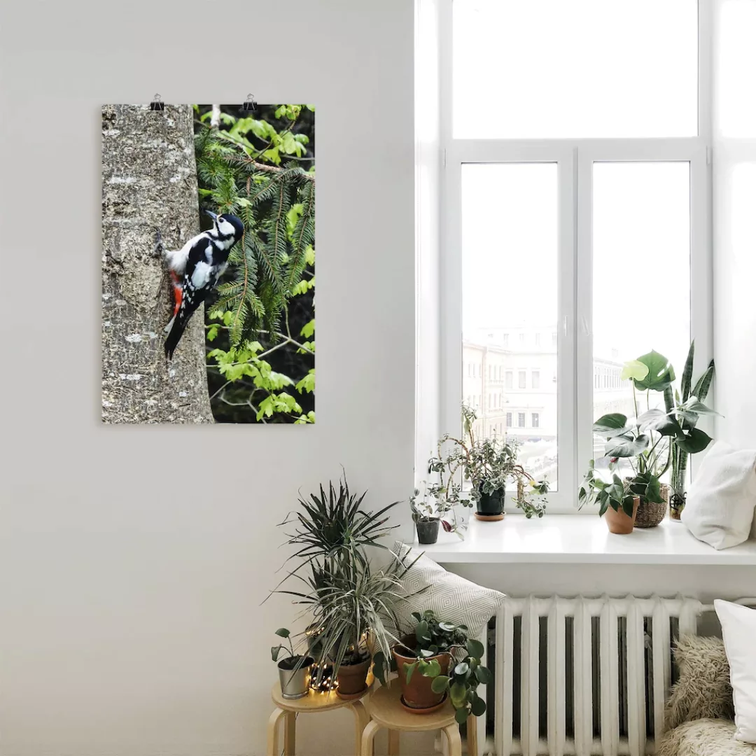 Artland Wandbild "Buntspecht im Wald", Vögel, (1 St.), als Leinwandbild, Po günstig online kaufen