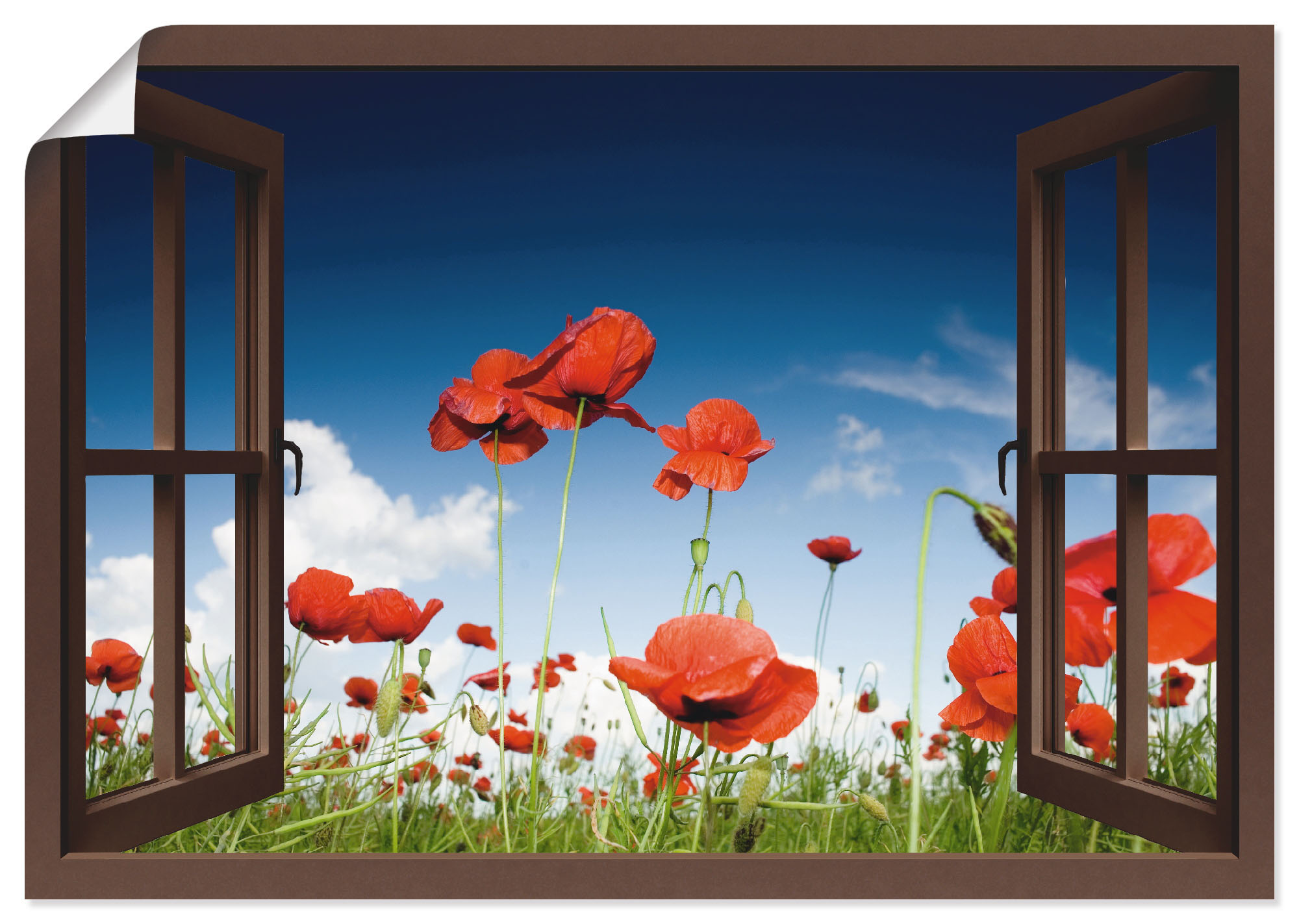 Artland Poster "Fensterblick Feld mit Mohnblumen, braun", Fensterblick, (1 günstig online kaufen