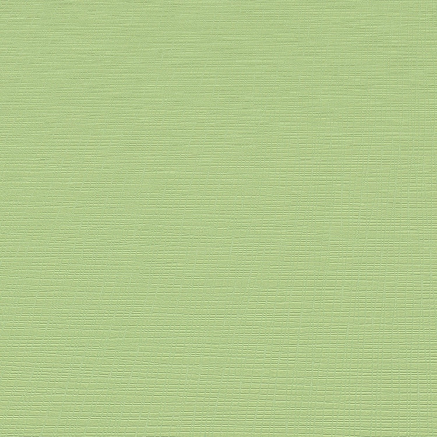 Bricoflor Einfarbige Tapete in Grün 1308207 günstig online kaufen