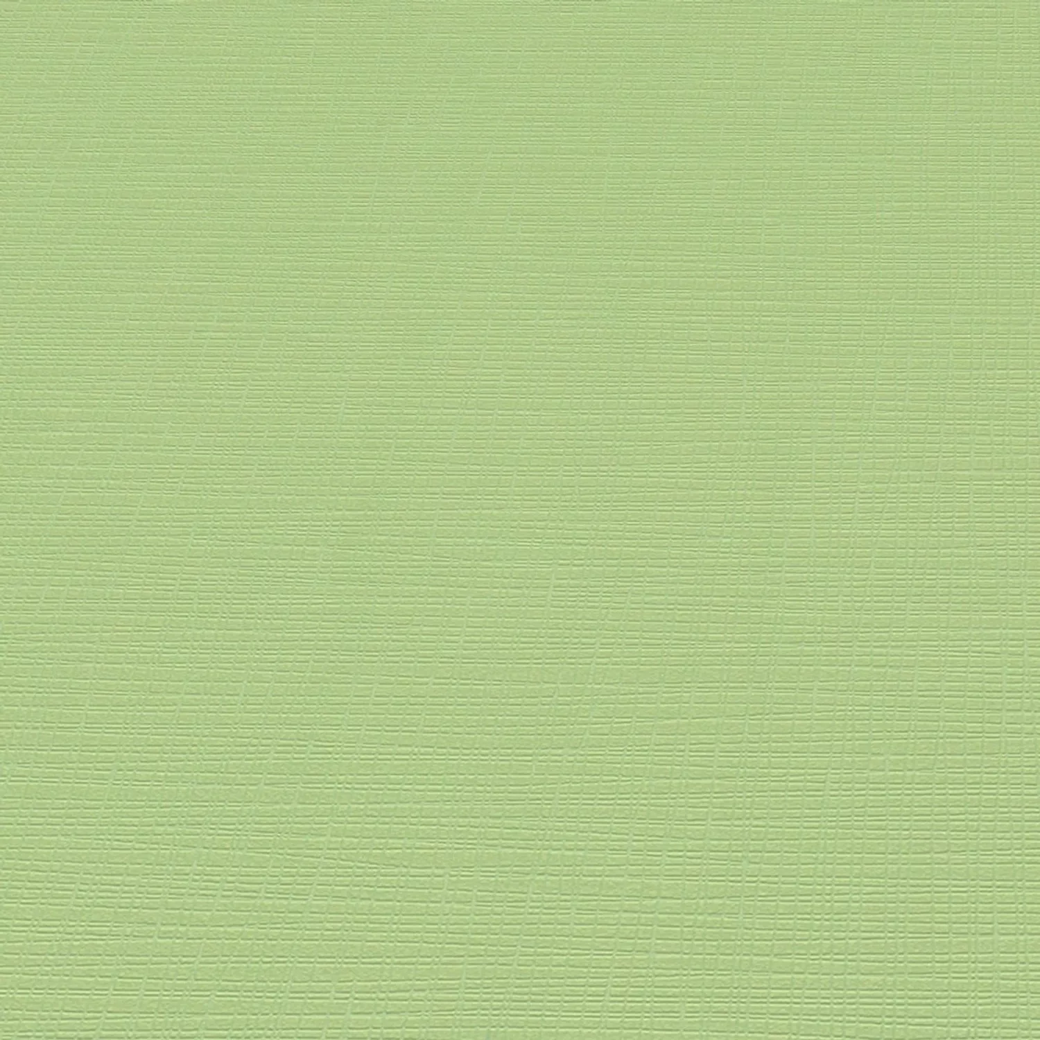 Bricoflor Einfarbige Tapete in Grün 1308207 günstig online kaufen