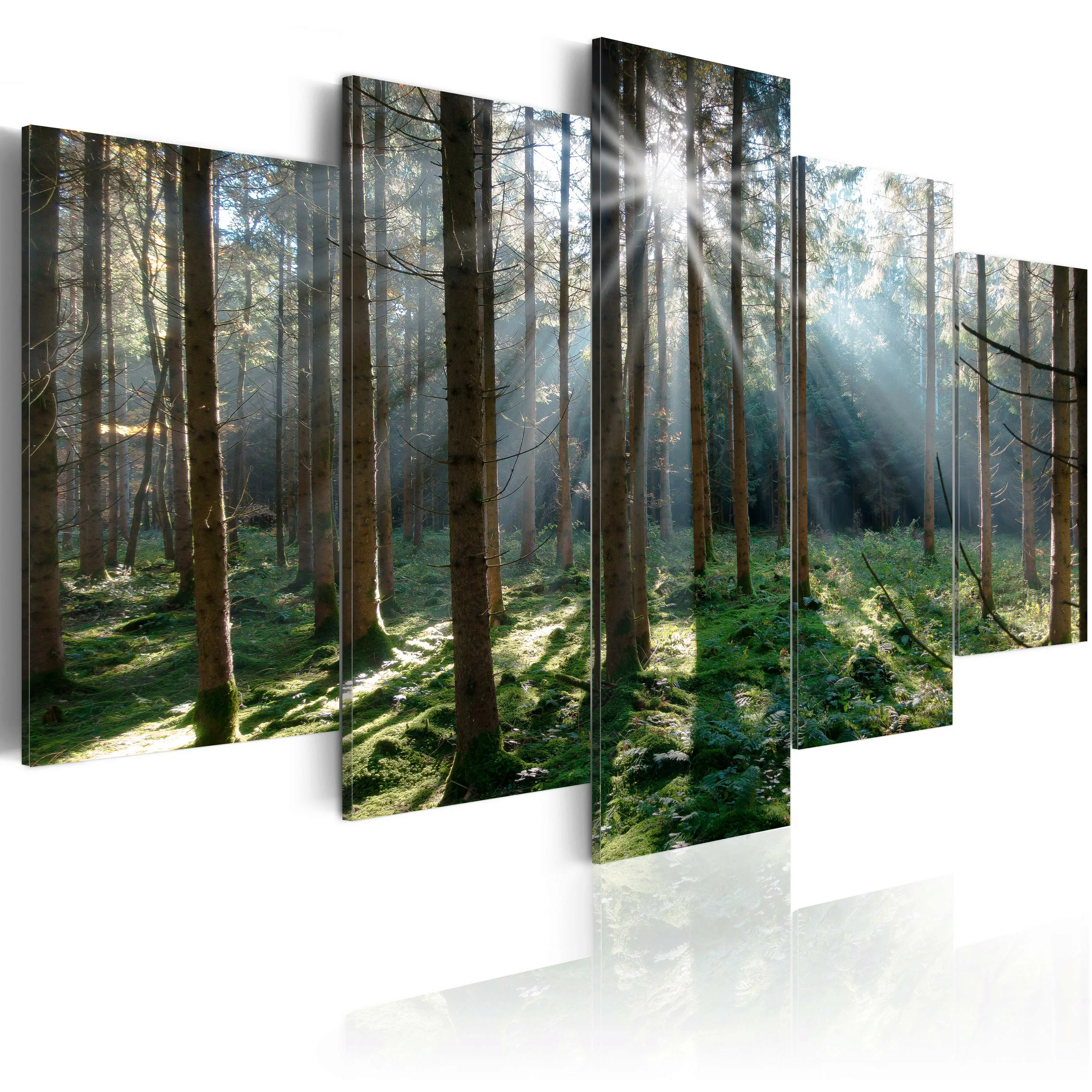 Wandbild - Fairytale Forest günstig online kaufen