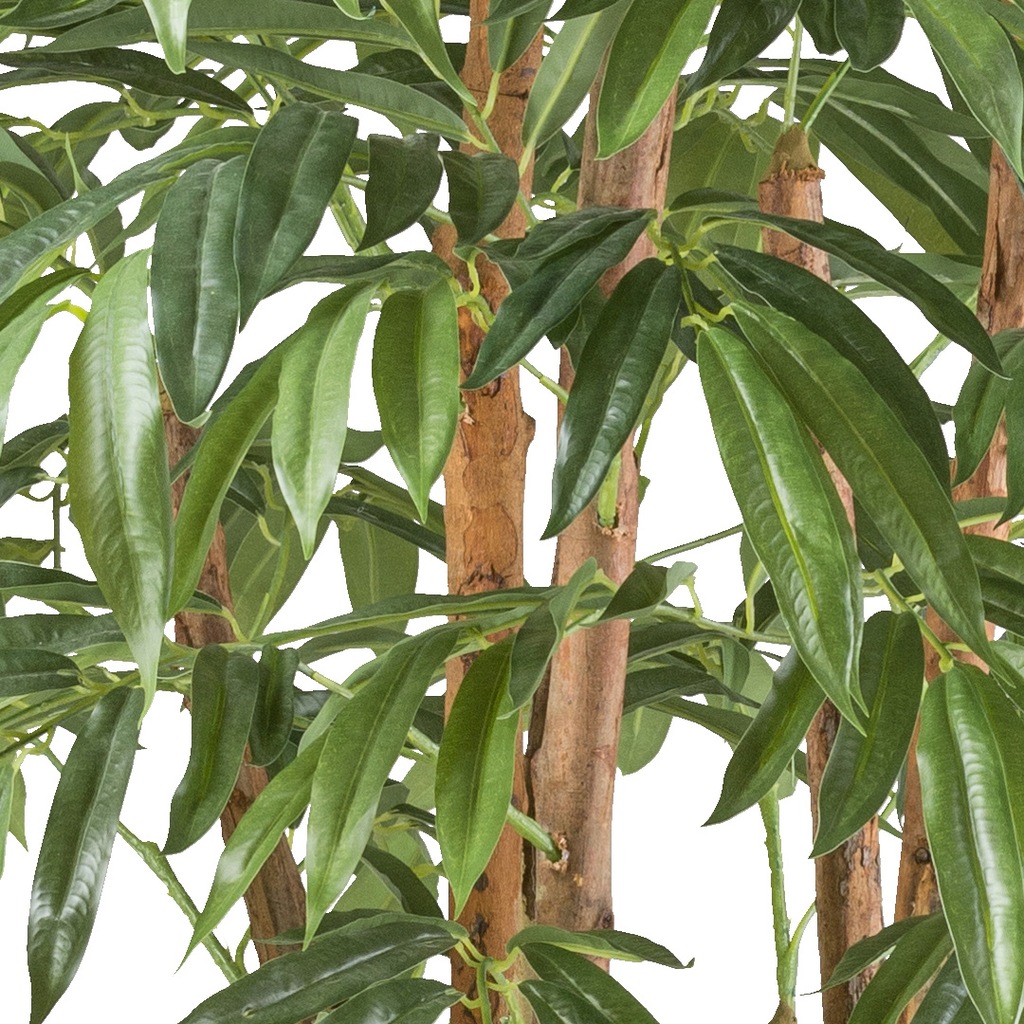 Creativ green Kunstpflanze "Ficus longifolia", mit Naturstamm günstig online kaufen