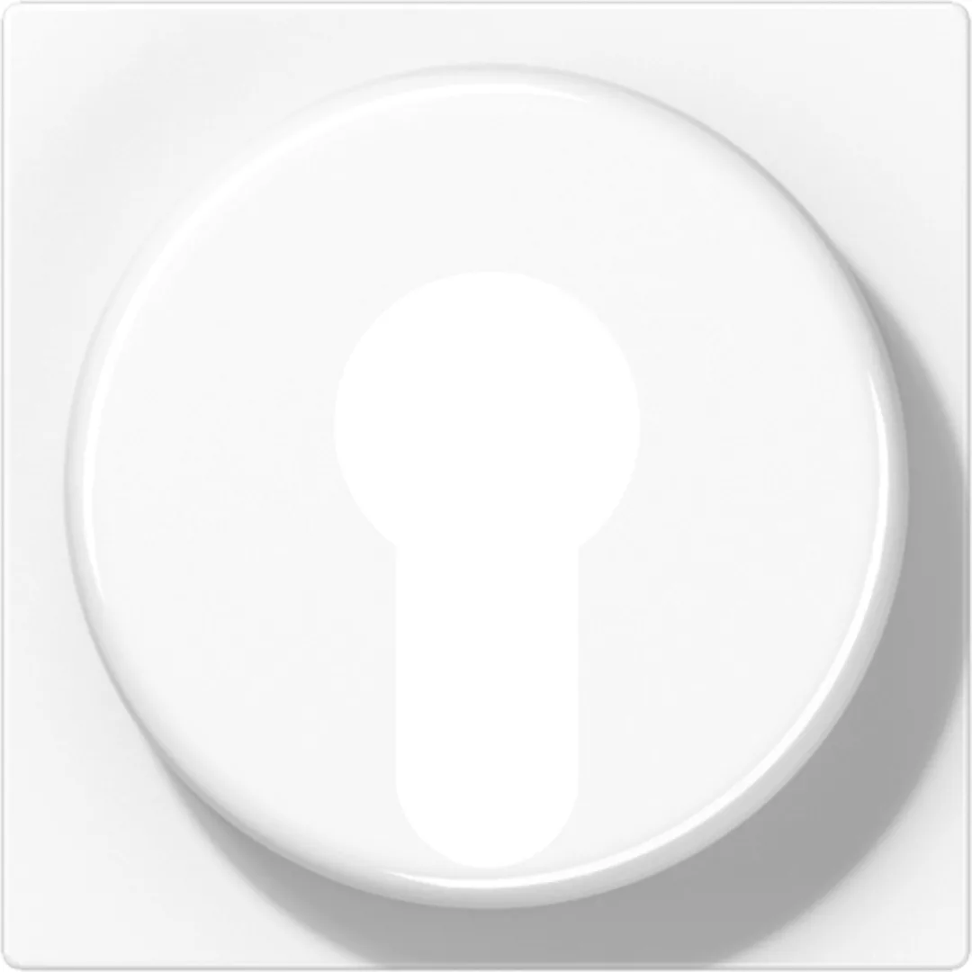 Jung Abdeckung aws für Schlüsselschalt. A 528 PL WW - A528PLWW günstig online kaufen