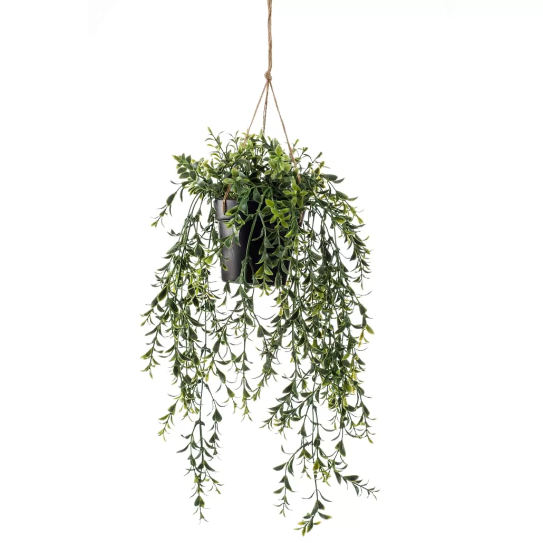 Emerald Kunstpflanze Buchsbaum Hängend In Topf 50 Cm günstig online kaufen