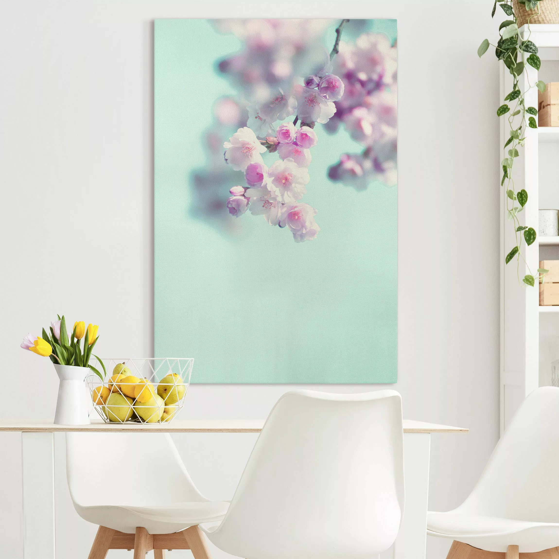 Leinwandbild Farbenfrohe Kirschblüten günstig online kaufen