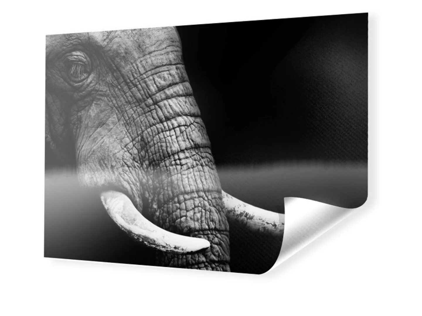 Foto auf PVC-Plane im Format 160 x 120 cm im Format 160 x 120 cm günstig online kaufen