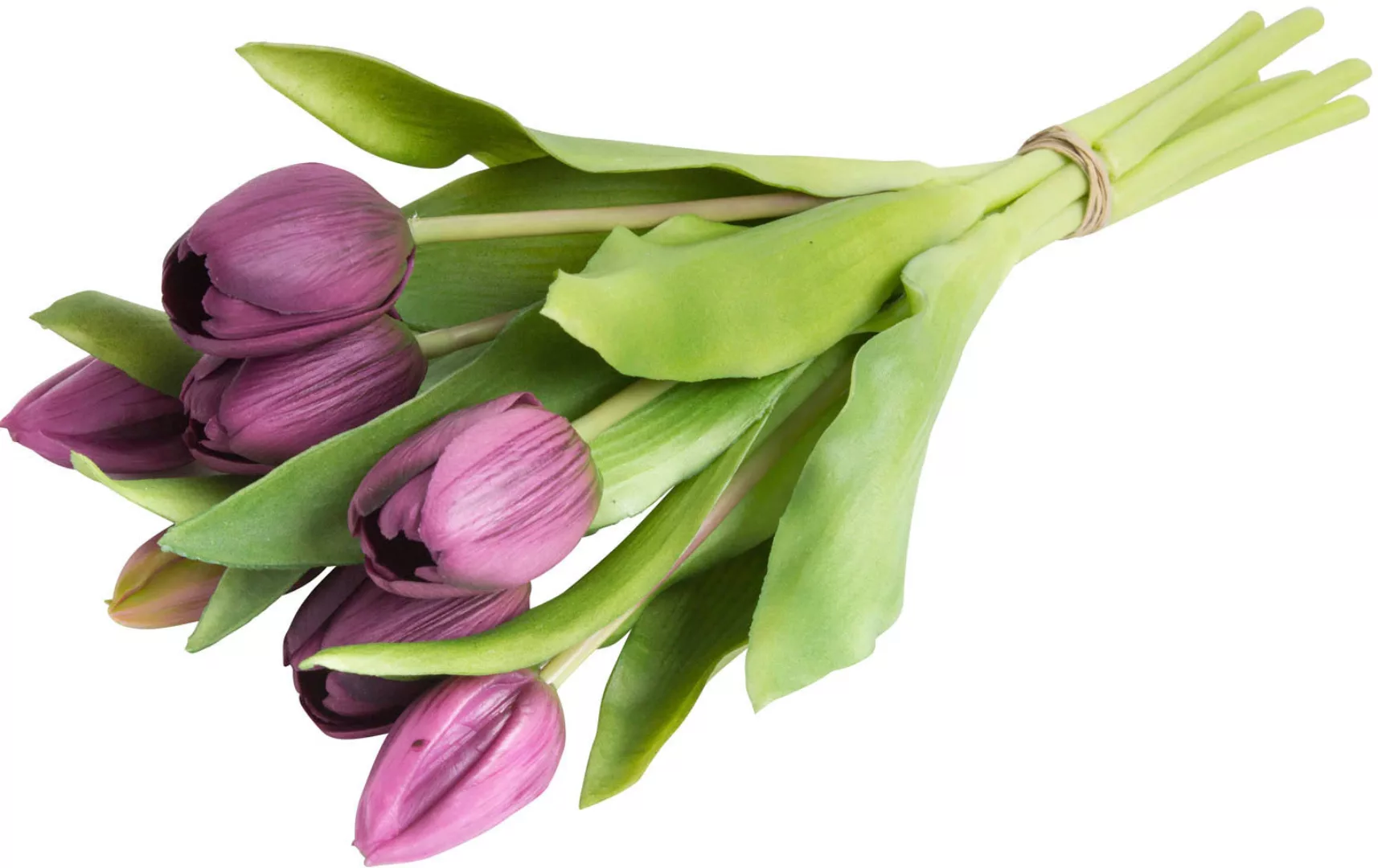 Botanic-Haus Kunstblume "Willa", Tulpenbündel im 7er-Set günstig online kaufen