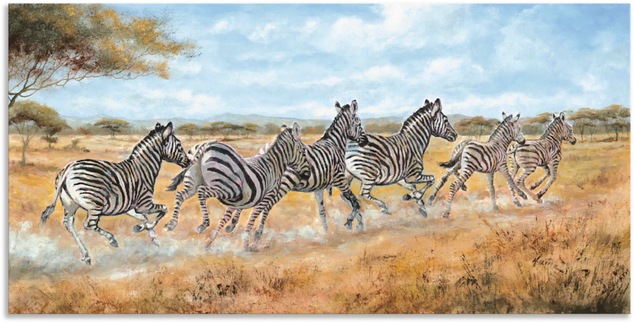 Artland Alu-Dibond-Druck "Laufende Zebras", Wildtiere, (1 St.), für Innen- günstig online kaufen