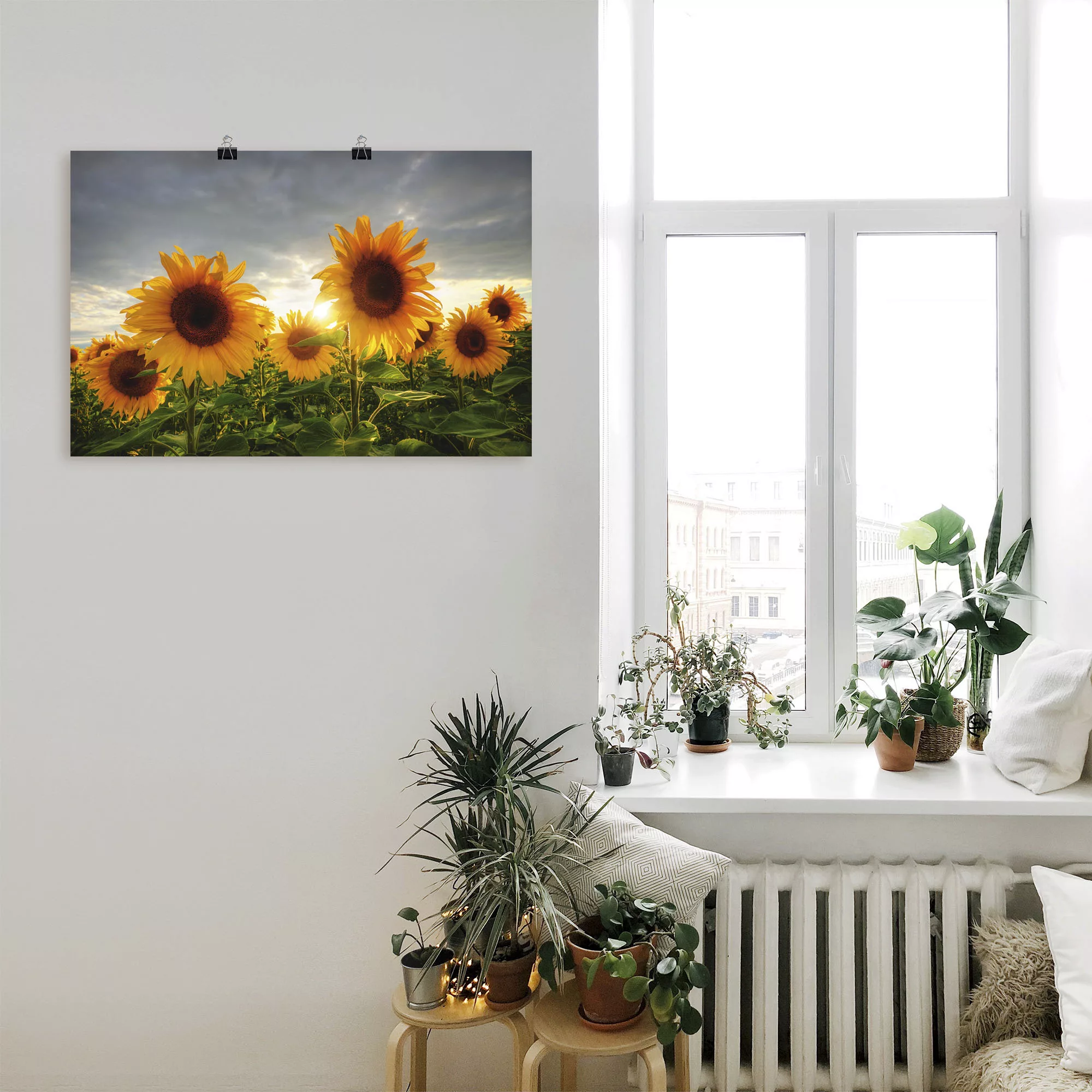 Artland Wandbild "Sonnenblumen II", Blumen, (1 St.), als Leinwandbild, Post günstig online kaufen