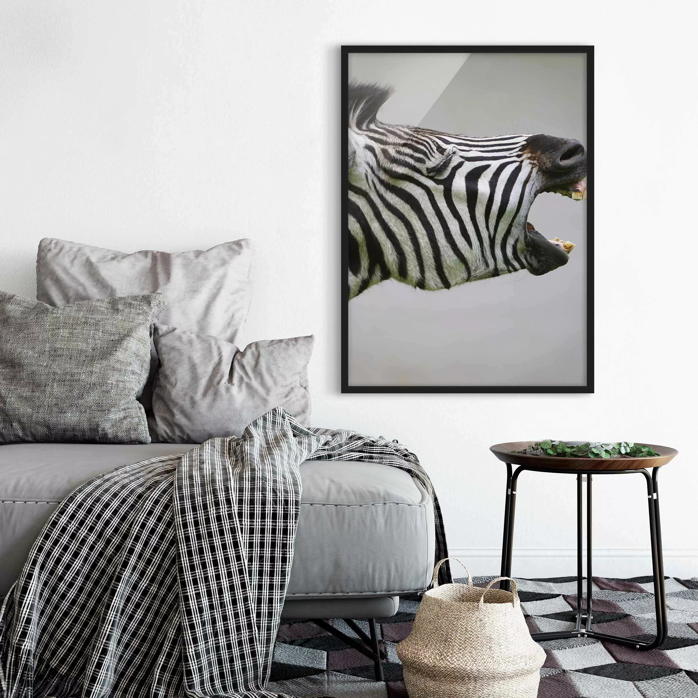 Bild mit Rahmen Tiere - Hochformat Brüllendes Zebra günstig online kaufen