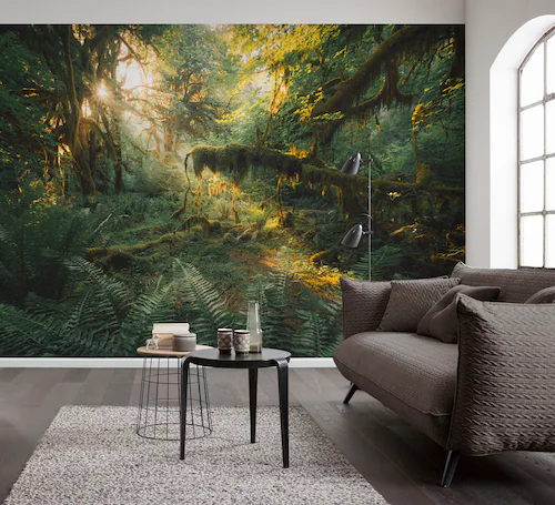 Komar Fototapete »Vlies Fototapete - Hall of Mosses - Größe 400 x 250 cm«, günstig online kaufen