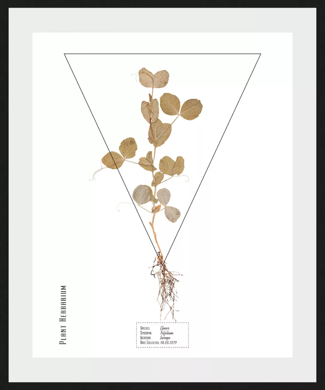 queence Bild »Trifolium«, (1 St.) günstig online kaufen