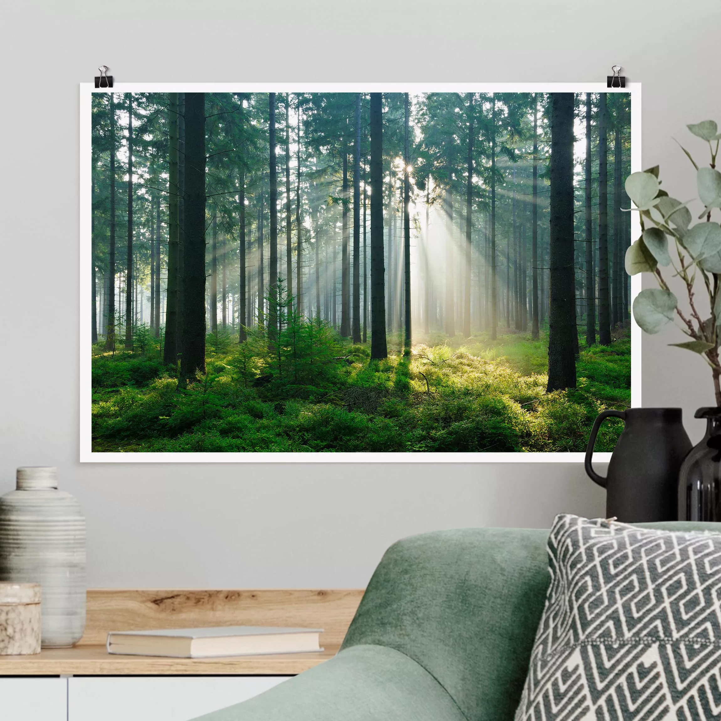 Poster Natur & Landschaft - Querformat Enlightened Forest günstig online kaufen