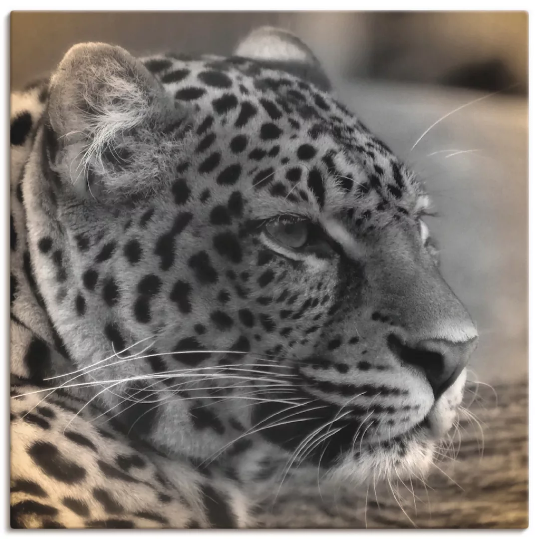 Artland Leinwandbild »Leopard Profil«, Wildtiere, (1 St.) günstig online kaufen