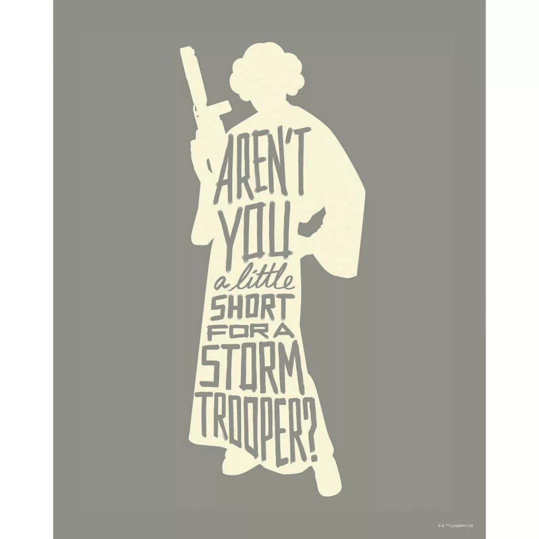 Disney Poster Leia Quotes Grau 40 x 50 cm 612163 günstig online kaufen