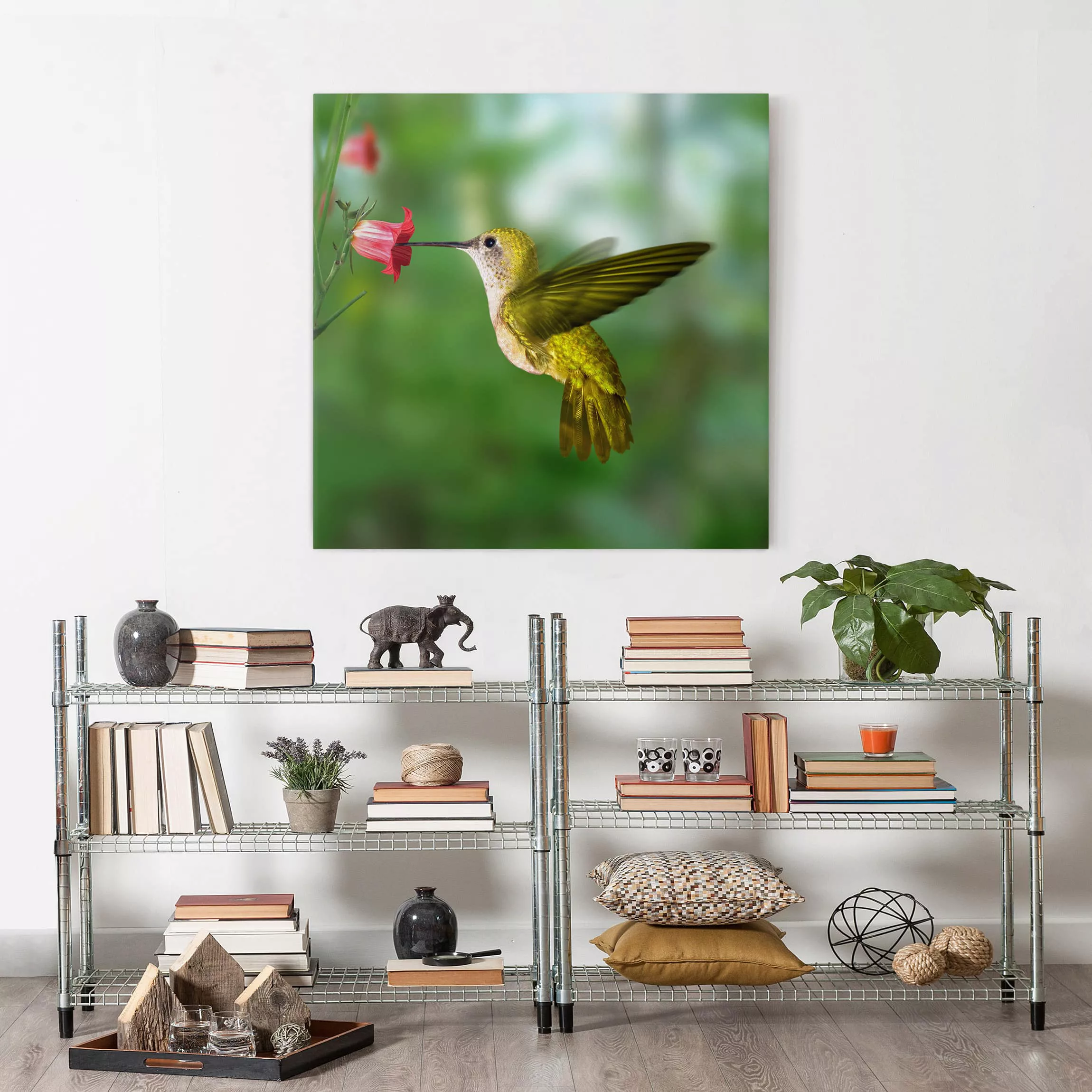 Leinwandbild Tiere - Quadrat Kolibri und Blüte günstig online kaufen