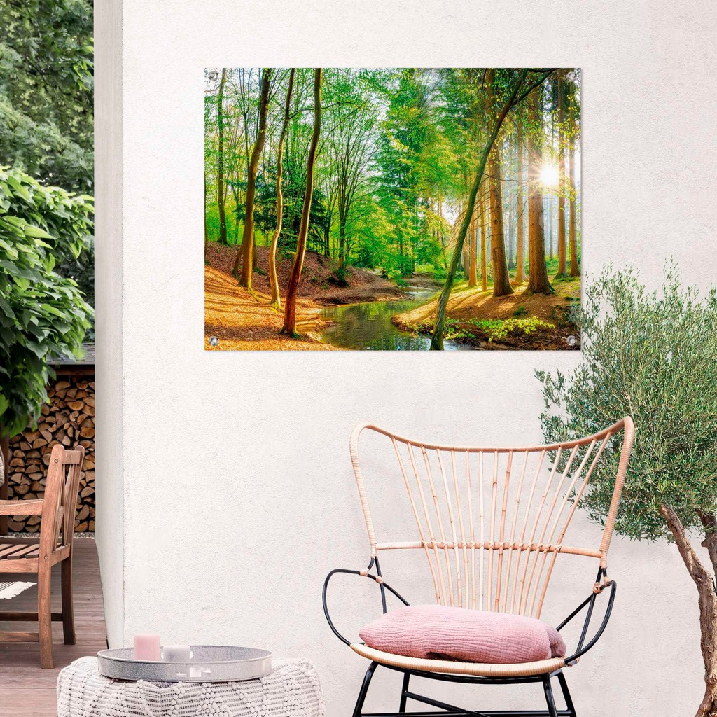 Reinders Poster "Sonniger Wald" günstig online kaufen