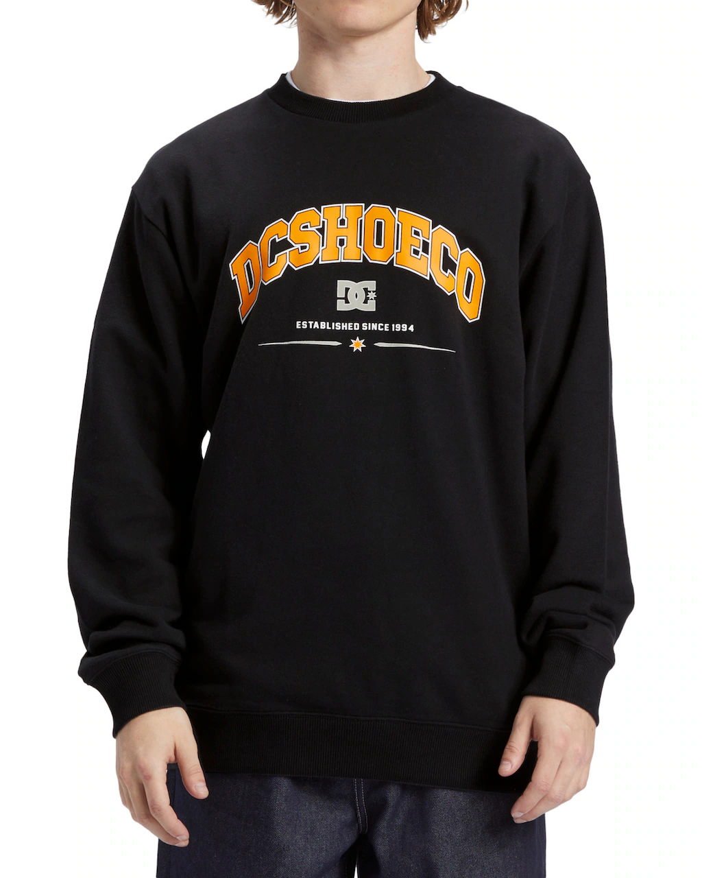 DC Shoes Sweatshirt "Orientation" günstig online kaufen