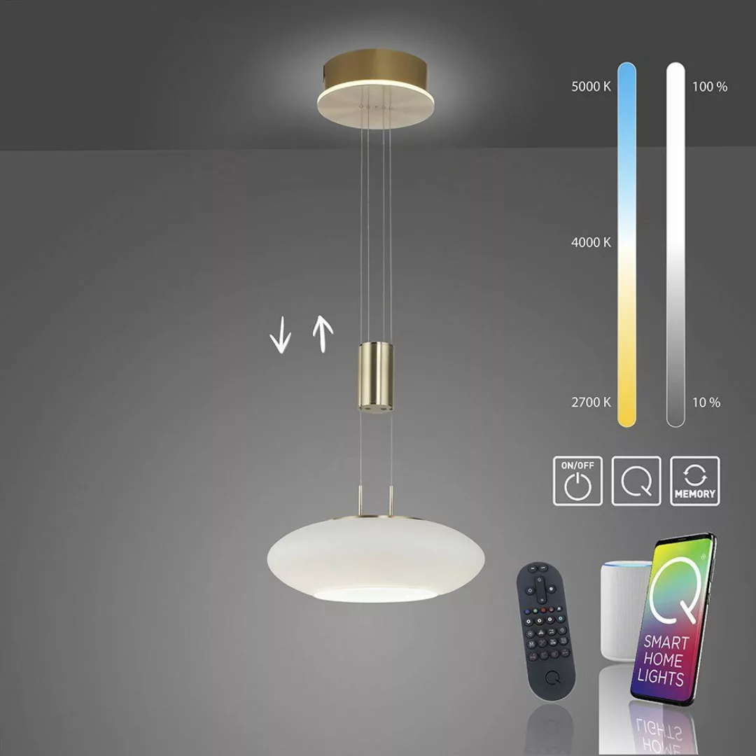 Paul Neuhaus Smarte LED-Leuchte LED Pendellampe günstig online kaufen