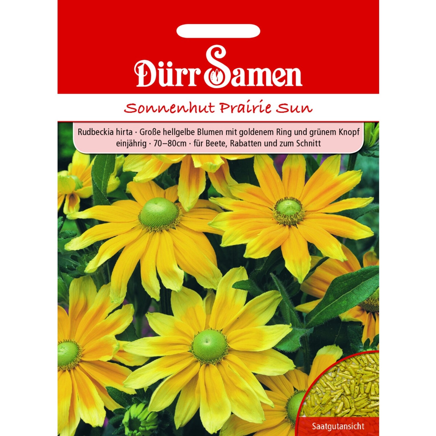 Dürr Samen Sonnenhut Prairie Sun Hellgelbe Blüten Einjährig Saatgut günstig online kaufen