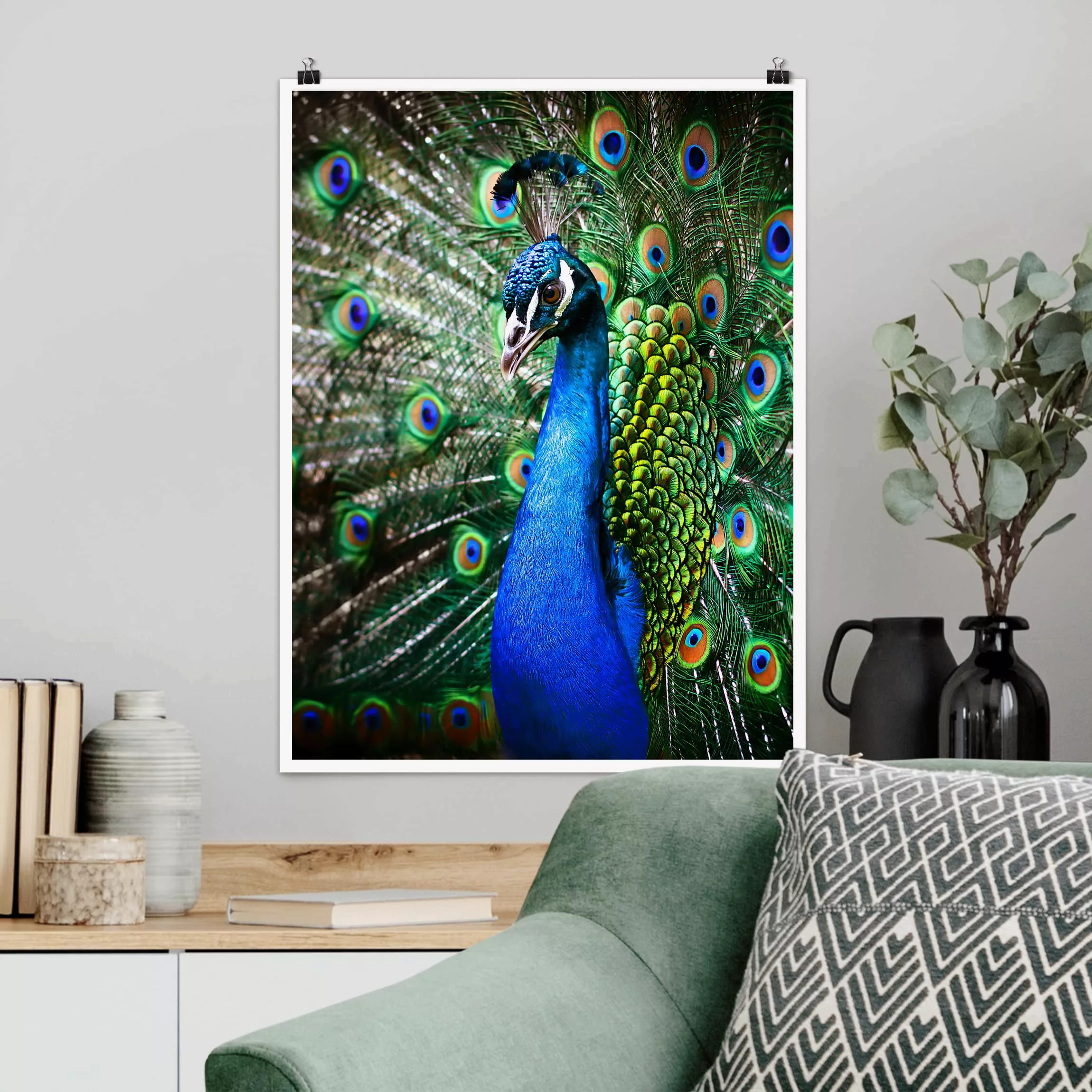 Poster Tiere - Hochformat Edler Pfau günstig online kaufen