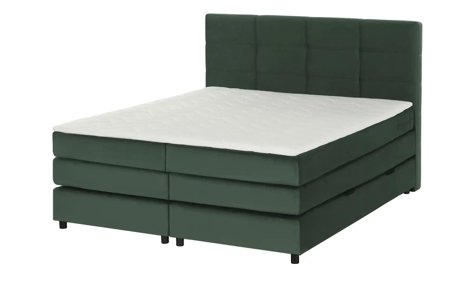 uno Boxspringbett  Wind ¦ grün ¦ Maße (cm): B: 140 H: 152 Betten > Komfortb günstig online kaufen