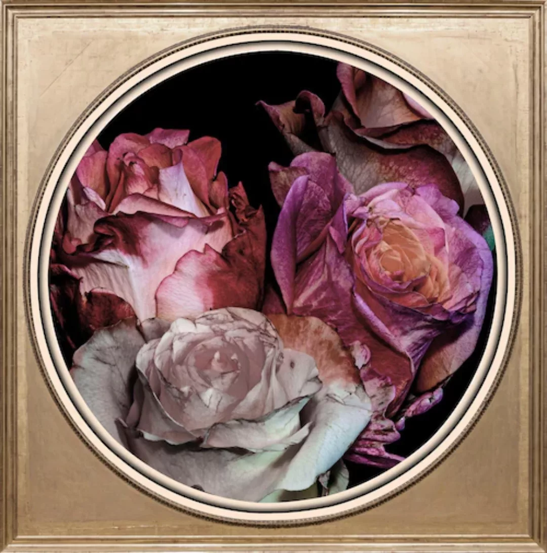queence Acrylglasbild »Getrocknete Rosen« günstig online kaufen