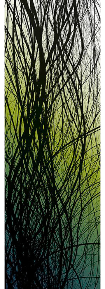 Architects Paper Fototapete »Underwater Green«, Grafik Tapete Natur Fototap günstig online kaufen