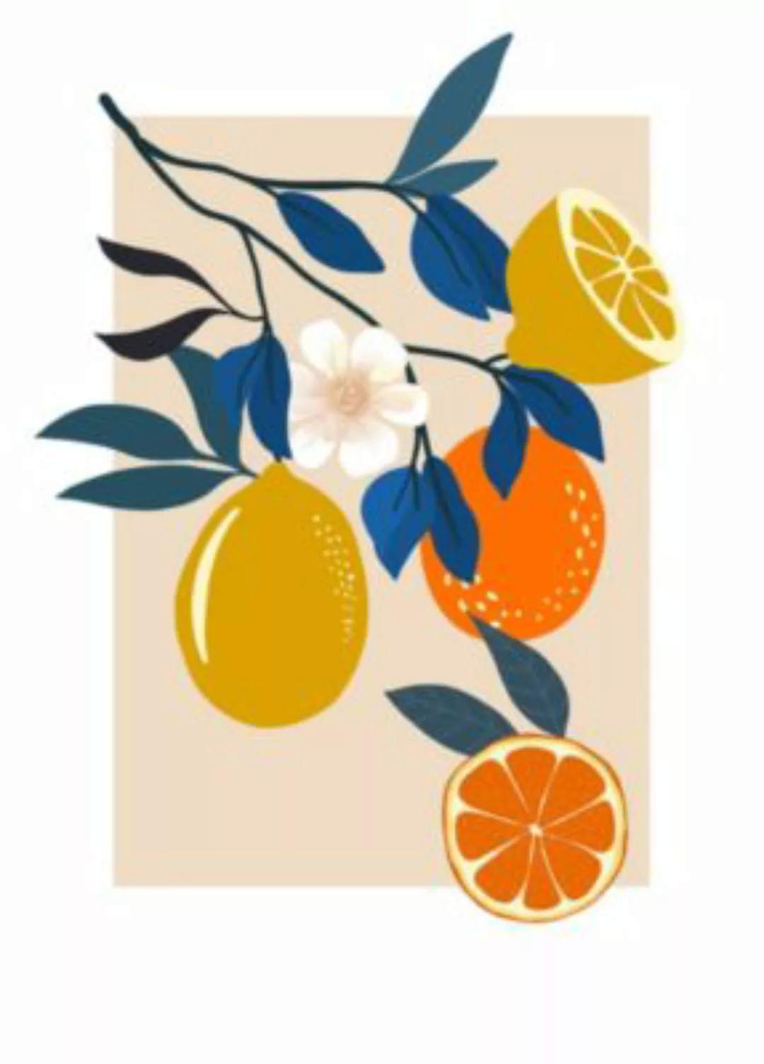 Komar Wandbild »Illustration Finest Fruits«, (1 St.), Deutsches Premium-Pos günstig online kaufen