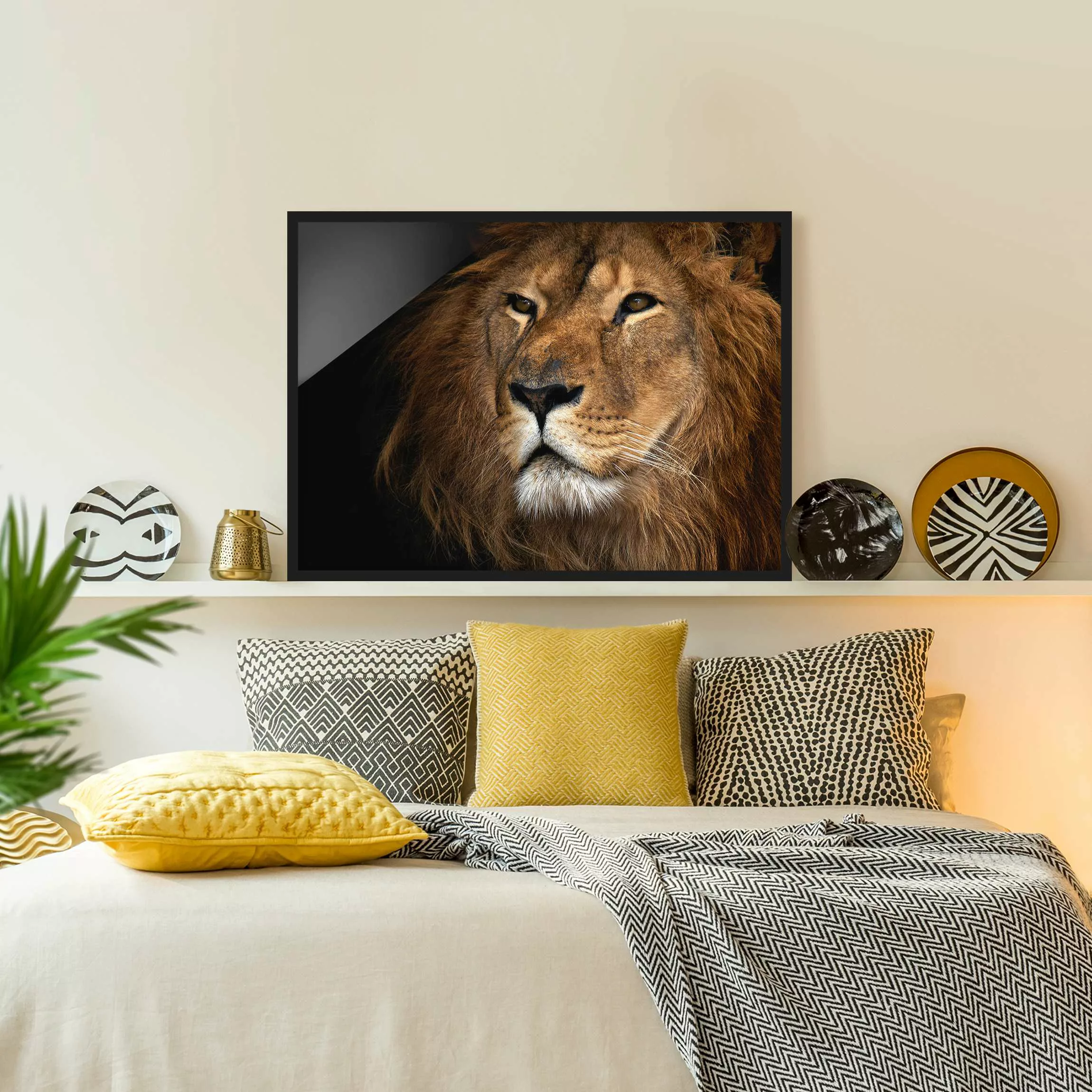 Bild mit Rahmen Tiere - Querformat Löwenblick günstig online kaufen