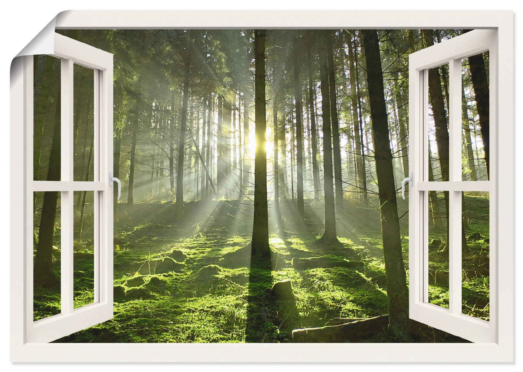 Artland Wandbild »Fensterblick - Wald im Gegenlicht«, Fensterblick, (1 St.) günstig online kaufen