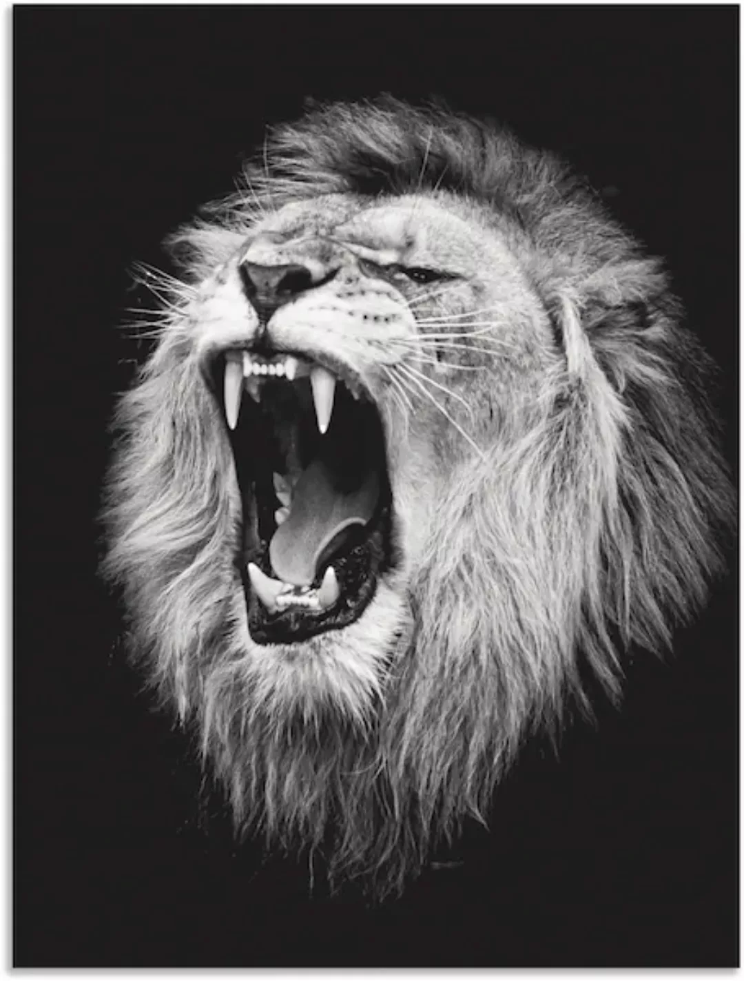 Artland Wandbild "Der Löwe", Wildtiere, (1 St.), als Alubild, Outdoorbild, günstig online kaufen