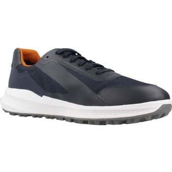 Geox  Sneaker U PG1X günstig online kaufen