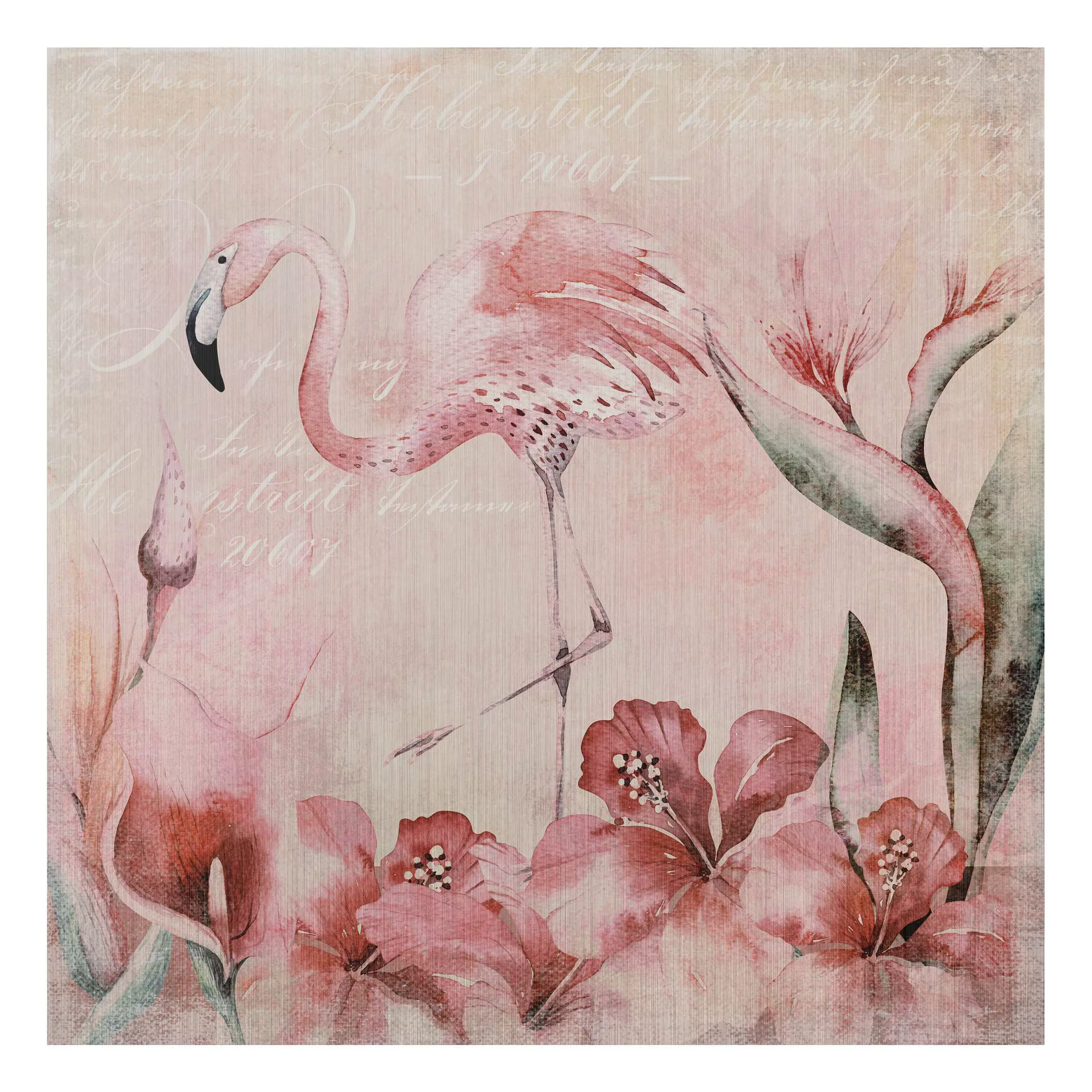 Alu-Dibond Bild Blumen - Quadrat Shabby Chic Collage - Flamingo günstig online kaufen