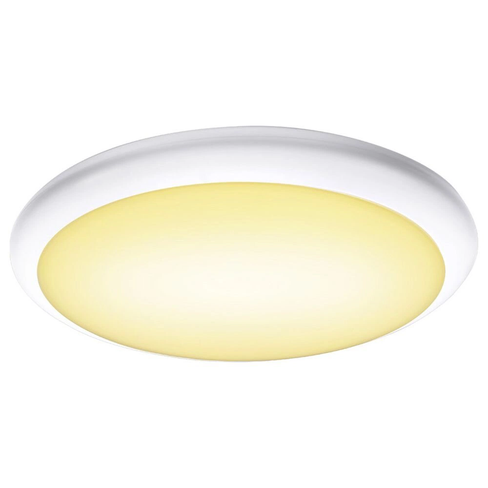 LED Wand- und Deckenleuchte Ruba 16 Cw in Weiß 24W 2230lm IP65 günstig online kaufen