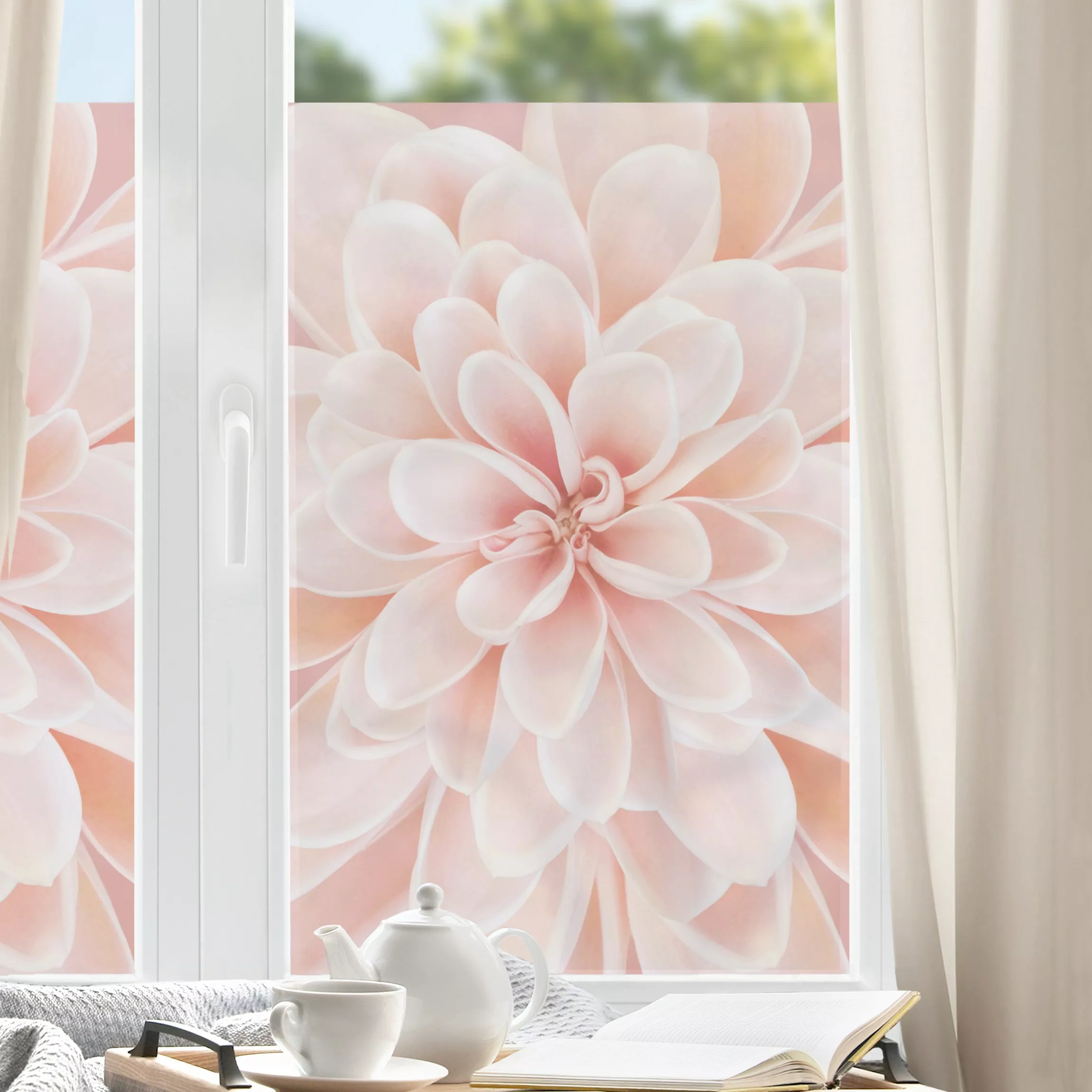 Fensterfolie Dahlie in Pastellrosa günstig online kaufen