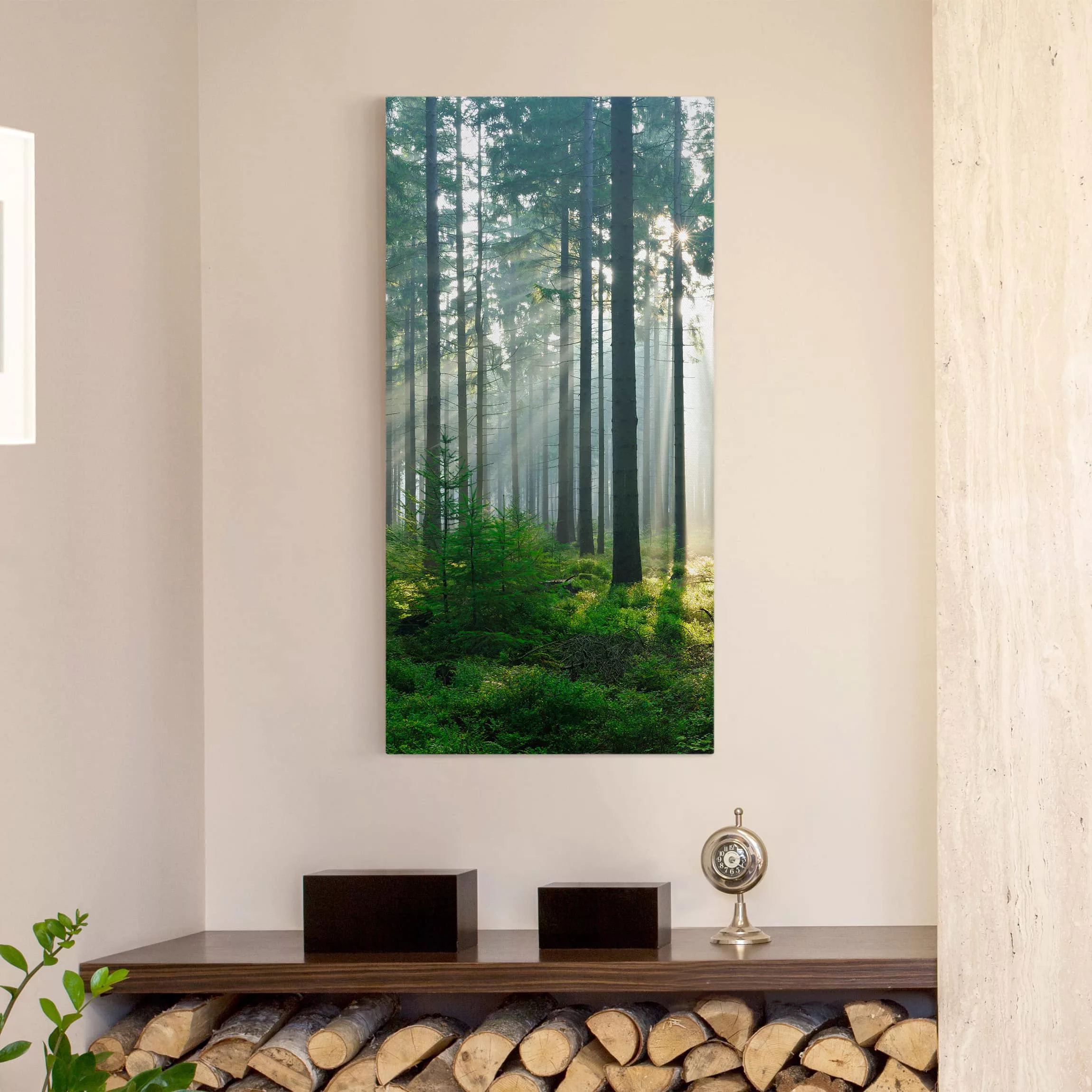 Leinwandbild Wald - Hochformat Enlightened Forest günstig online kaufen