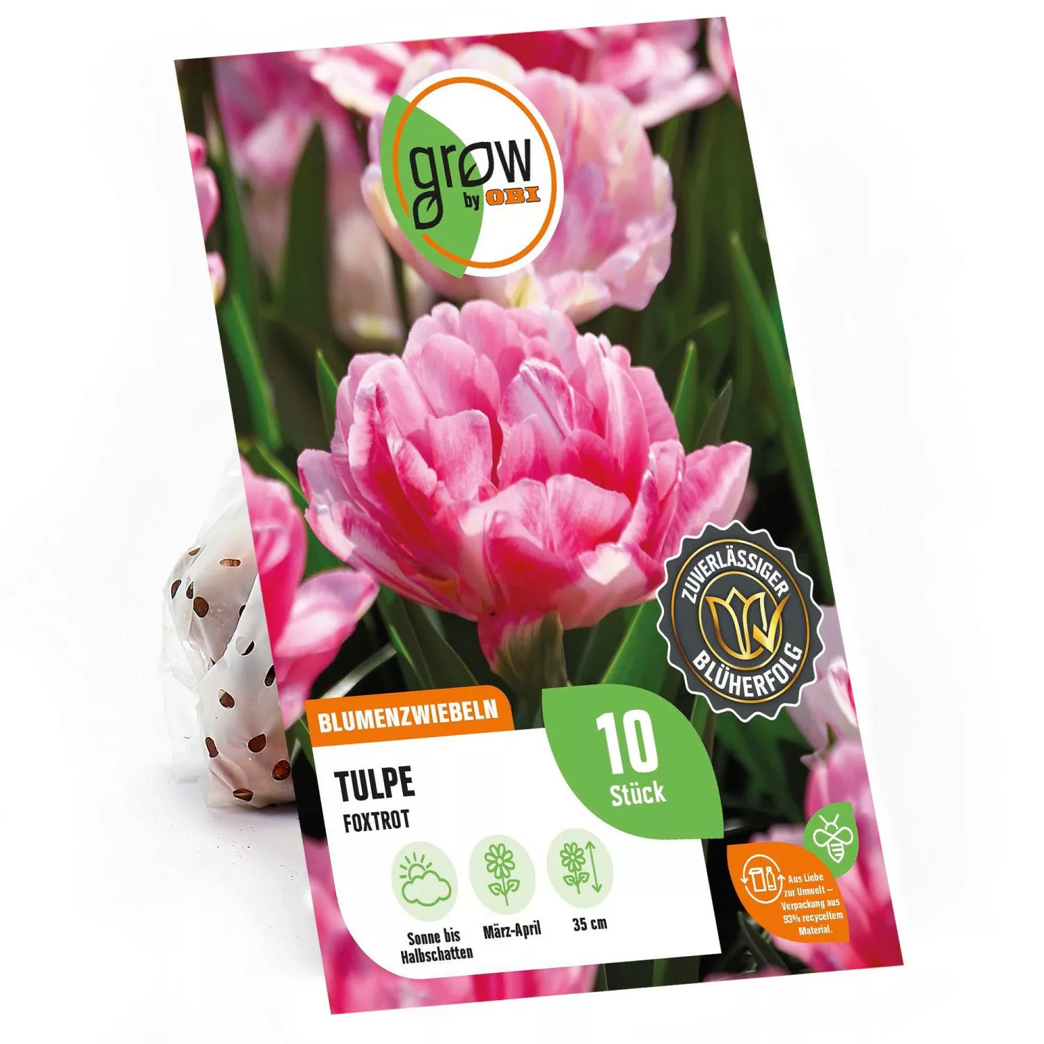 GROW by OBI Pfingstrosen-Tulpe Foxtrot Rosa 35 cm Tulipa günstig online kaufen