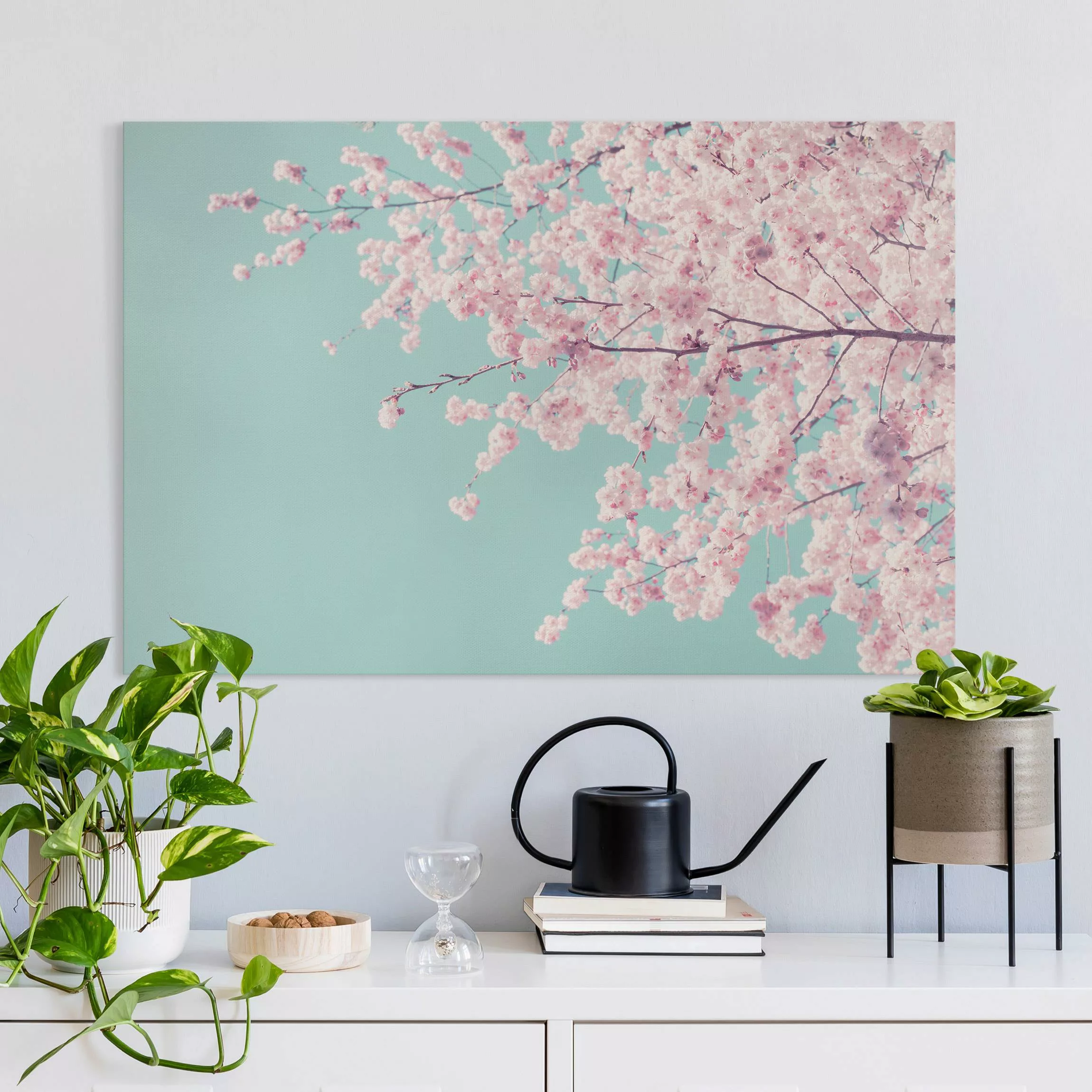 Leinwandbild Japanische Kirschblüte günstig online kaufen